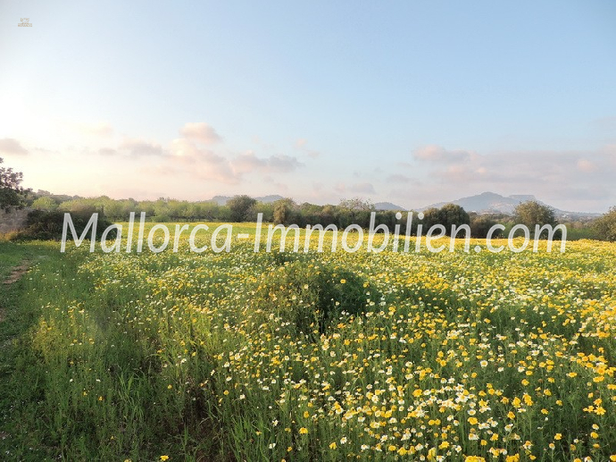 GRUNDSTÜCK MIT MEERWEITBLICK VOM 1.STOCK