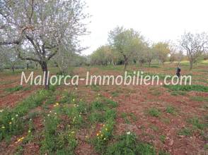 Thumbnail von GRUNDSTÜCK MIT MEERWEITBLICK VOM 1.STOCK