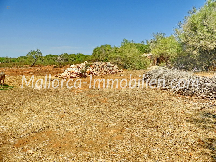 Thumbnail von BAUGRUNDSTÜCK IN WUNDERSCHÖNER LAGE