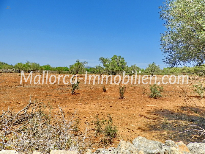 Thumbnail von BAUGRUNDSTÜCK IN WUNDERSCHÖNER LAGE