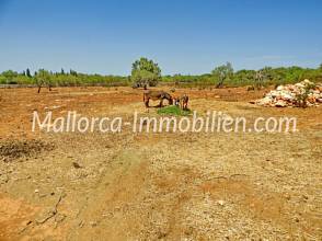 Thumbnail von BAUGRUNDSTÜCK IN WUNDERSCHÖNER LAGE