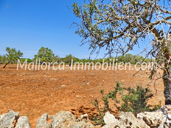 Thumbnail von BAUGRUNDSTÜCK IN WUNDERSCHÖNER LAGE