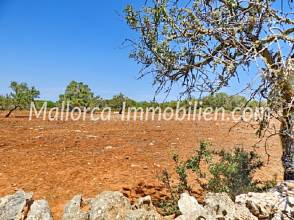 Thumbnail von BAUGRUNDSTÜCK IN WUNDERSCHÖNER LAGE