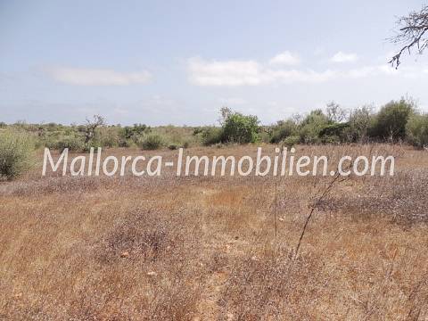 BAUGRUNDSTÜCK MIT BLICK ÜBER FELDER UND WIESEN