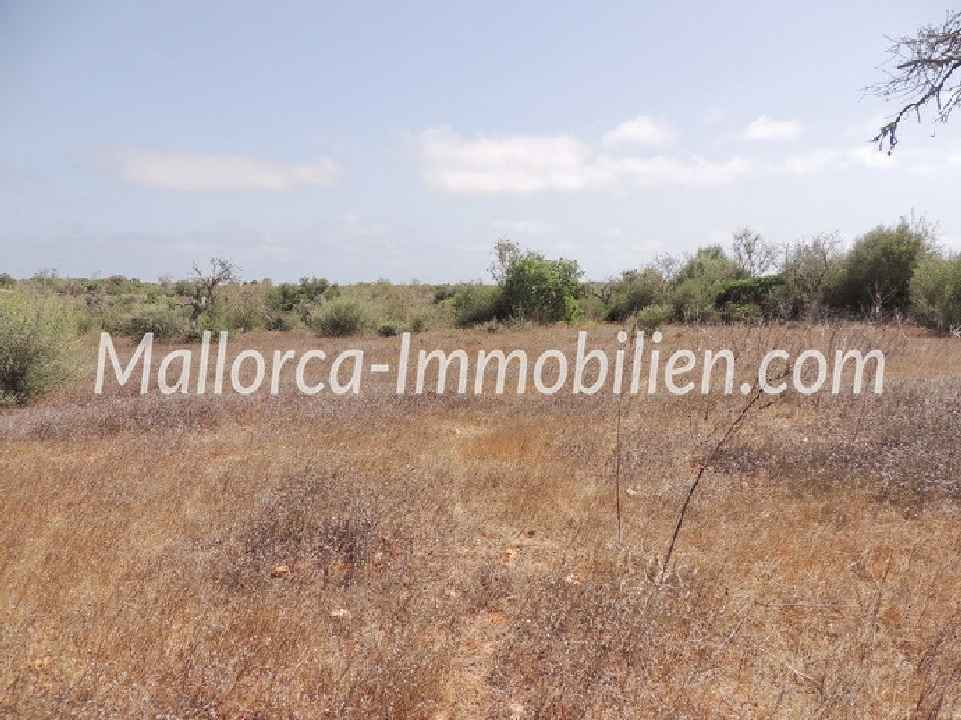 BAUGRUNDSTÜCK MIT BLICK ÜBER FELDER UND WIESEN