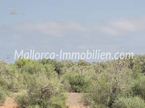 Thumbnail von BAUGRUNDSTÜCK MIT BLICK ÜBER FELDER UND WIESEN