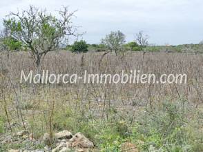 Thumbnail von BAUGRUNDSTÜCK MIT MEERWEITBLICK