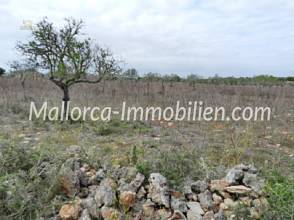 Thumbnail von BAUGRUNDSTÜCK MIT MEERWEITBLICK