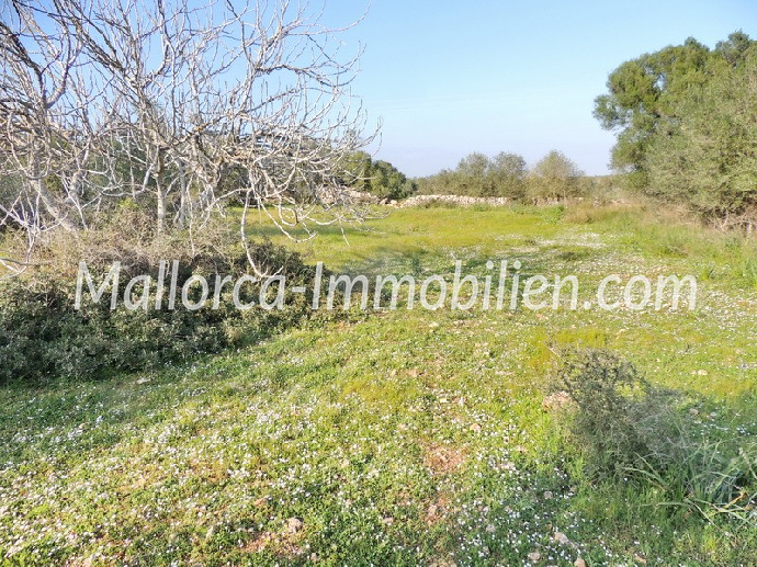 ROMANTISCH GELEGENES GRUNDSTÜCK