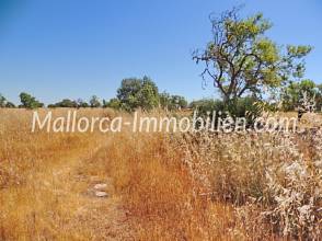 Thumbnail von EBENES GRUNDSTÜCK MIT BAUMBESTAND UND PANORAMABLICK