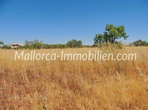 Thumbnail von EBENES GRUNDSTÜCK MIT BAUMBESTAND UND PANORAMABLICK