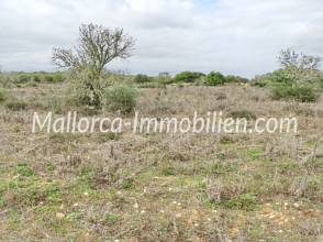 Thumbnail von EBENES GRUNDSTÜCK MIT BAUMBESTAND UND PANORAMABLICK