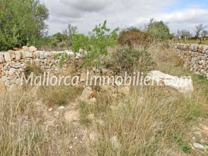 Thumbnail von EBENES GRUNDSTÜCK MIT BAUMBESTAND UND PANORAMABLICK