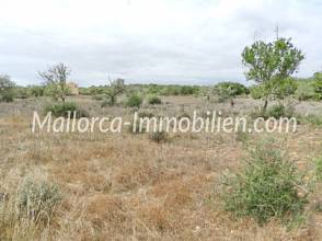 Thumbnail von EBENES GRUNDSTÜCK MIT BAUMBESTAND UND PANORAMABLICK