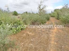 Thumbnail von EBENES GRUNDSTÜCK MIT BAUMBESTAND UND PANORAMABLICK