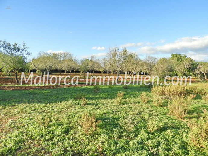 Thumbnail von GRUNDSTÜCK MIT MEERWEITBLICK