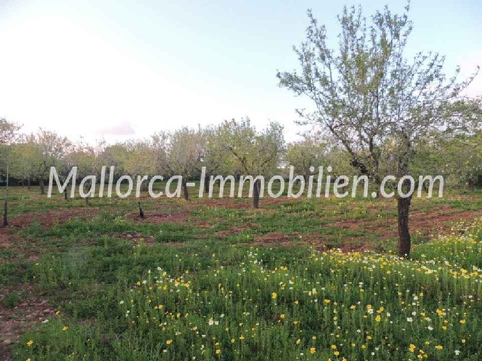 GRUNDSTÜCK MIT MEERWEITBLICK