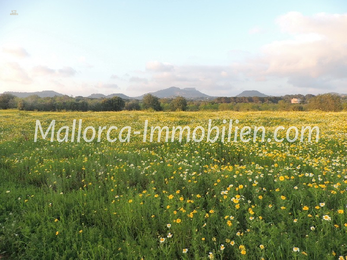 Thumbnail von GRUNDSTÜCK MIT MEERWEITBLICK