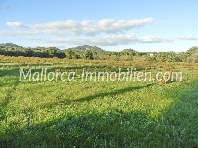 Thumbnail von GRUNDSTÜCK MIT MEERWEITBLICK