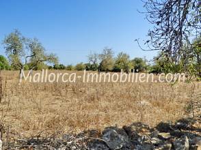 Thumbnail von GUT GESCHNITTENES GRUNDSTÜCK MIT MEERBLICK