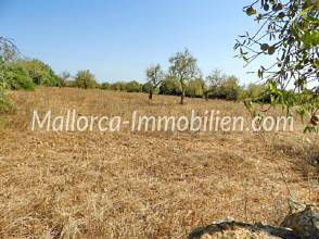 Thumbnail von GUT GESCHNITTENES GRUNDSTÜCK MIT MEERBLICK