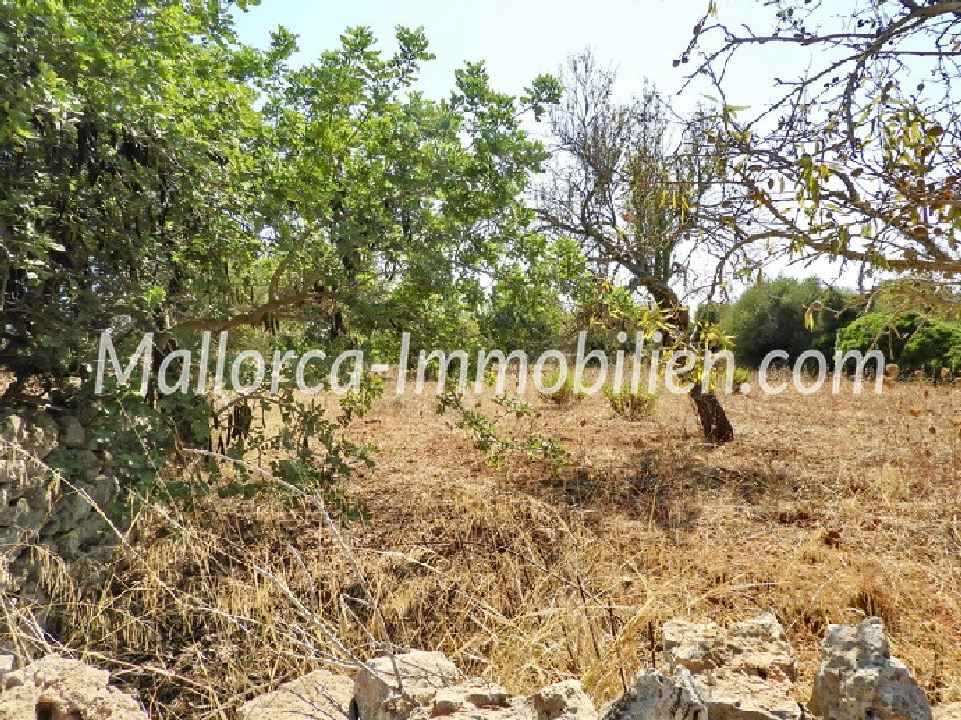GRUNDSTÜCK MIT MEERWEITBLICK