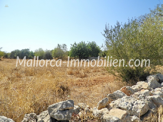 Thumbnail von GRUNDSTÜCK MIT MEERWEITBLICK