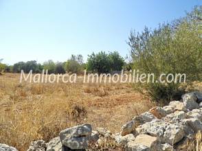 Thumbnail von GRUNDSTÜCK MIT MEERWEITBLICK