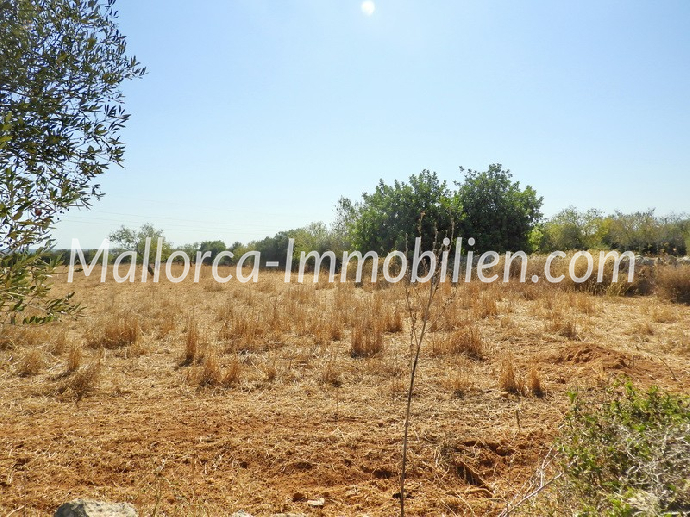 Thumbnail von GRUNDSTÜCK MIT MEERWEITBLICK