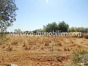 Thumbnail von GRUNDSTÜCK MIT MEERWEITBLICK