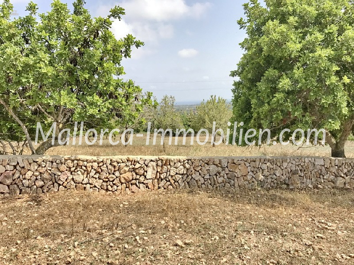 Thumbnail von GRUNDSTÜCK MIT MEERBLICK