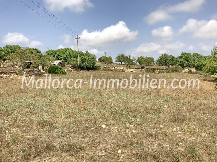 Thumbnail von GRUNDSTÜCK MIT MEERBLICK