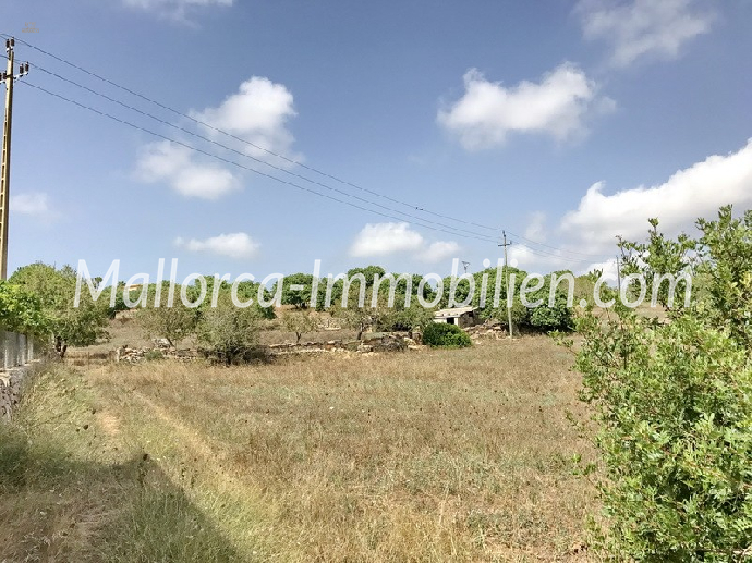 Thumbnail von GRUNDSTÜCK MIT MEERBLICK