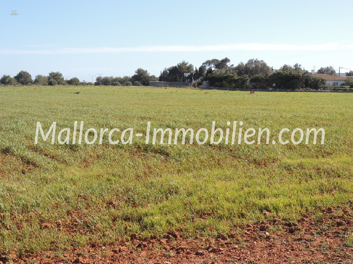 GRUNDSTÜCK FÜR 2 HÄUSER MIT BERGBLICK