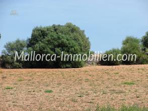 Thumbnail von 2 GRUNDSTÜCKE NEBENEINANDERLIEGEND MIT PANORAMABLICK