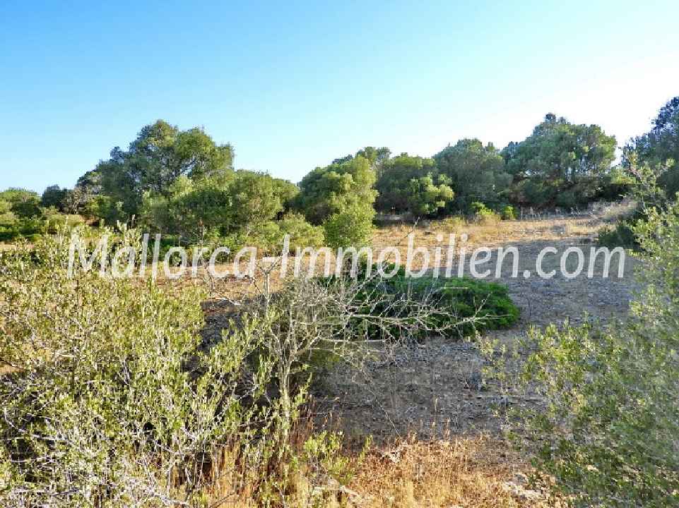 GRUNDSTÜCK MIT MEERBLICK