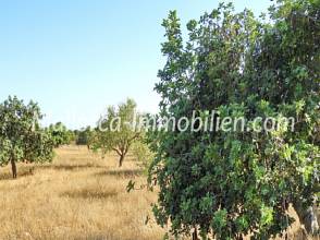 Thumbnail von GRUNDSTÜCK IN EXPONIERTER LAGE MIT TRAUMHAFTEM MEERBLICK