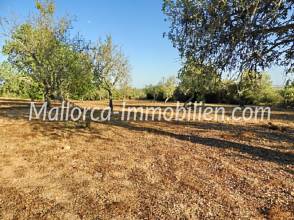 Thumbnail von WEITLÄUFIGES GRUNDSTÜCK FÜR AUTARKES LEBEN AUF DEM LAND