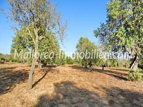 Thumbnail von WEITLÄUFIGES GRUNDSTÜCK FÜR AUTARKES LEBEN AUF DEM LAND