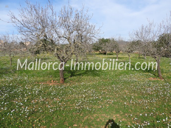 Thumbnail von GRUNDSTÜCK MIT MEERBLICK VOM ERSTEN STOCK MIT PROJEKT