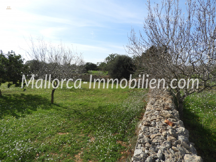 Thumbnail von GRUNDSTÜCK MIT MEERBLICK VOM ERSTEN STOCK MIT PROJEKT