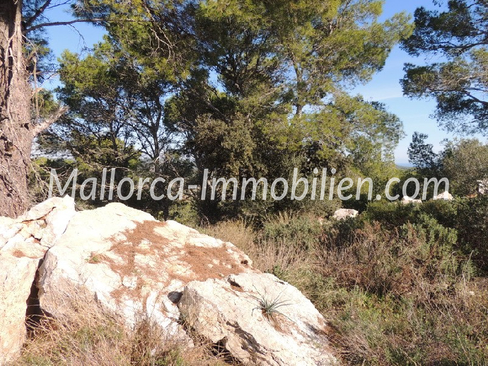 EINMALIGES GRUNDSTÜCK MIT MEERBLICK UND FINCA-ROHBAU