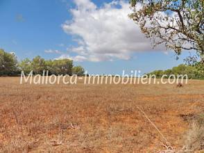 Thumbnail von EINMALIGES GRUNDSTÜCK MIT ROMANTISCH GELEGENER FINCA ZUM RENOVIEREN