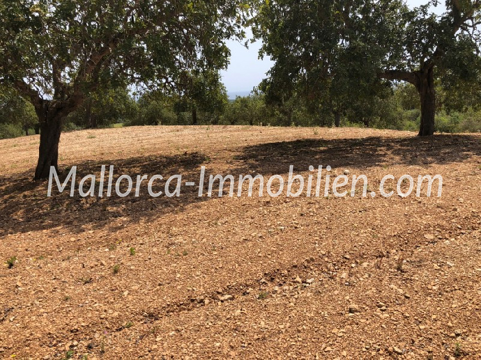 EXCLUSIVES GRUNDSTÜCK MIT EINMALIGEM MEERBLICK IN EXPONIERTER LAGE