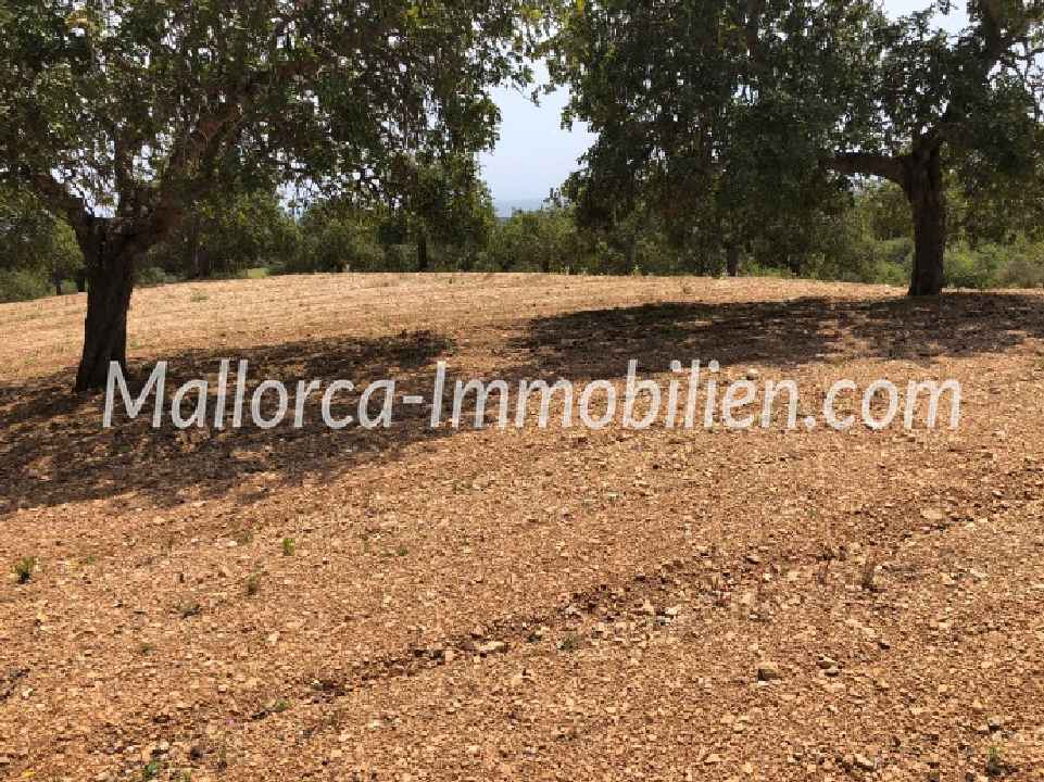 EXCLUSIVES GRUNDSTÜCK MIT EINMALIGEM MEERBLICK IN EXPONIERTER LAGE