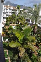 Thumbnail von Luxus-Wohnung in The Golden Mile R2853017