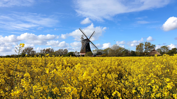 Thumbnail von Kapitalanlage 006 Oldsum - Baugrundstück