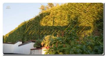 Thumbnail von Immogold reizende Villa mit Pool und herrlichem Panorama-Meerblick