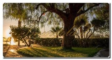 Thumbnail von Immogold reizende Villa mit Pool und herrlichem Panorama-Meerblick