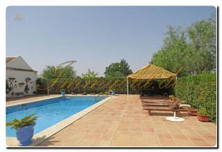 Thumbnail von Immogold Oliven Finca mit ca. 2.000.000 m² Grundstück und Pool